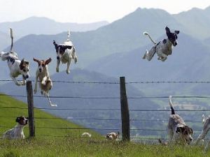 Aim for greater heights