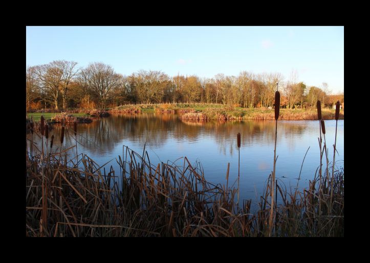 Fishing lake image on my digital photo frame