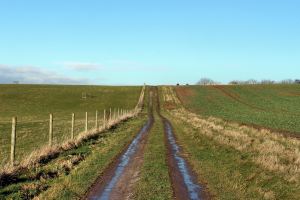 Tealby - Out and about