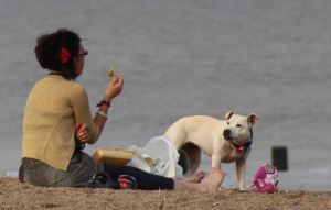 Teatime fish and chips on the beach