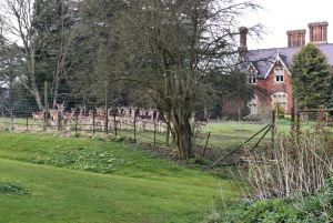 Deer at Cuxwold Hall