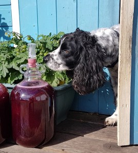 Ooooh! This smells good!