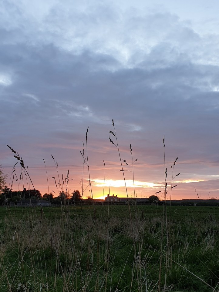 Sunrise 25th April 2019